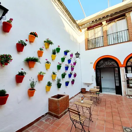 Arc House Only Adults Pensión