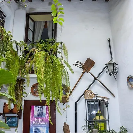 Arc House Only Adults Pensión *