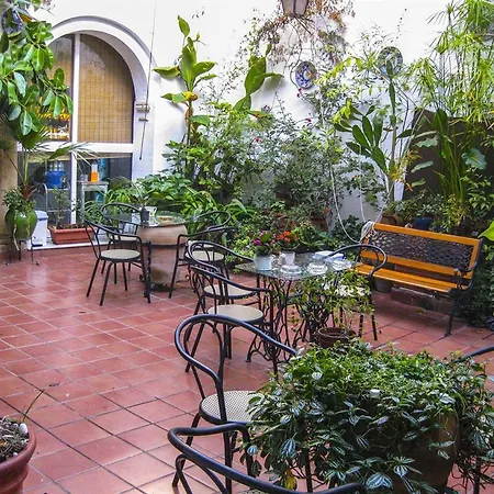 Arc House Only Adults Pensión