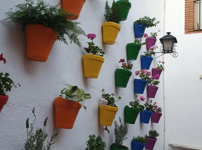 Arc House Only Adults Κόρδοβα