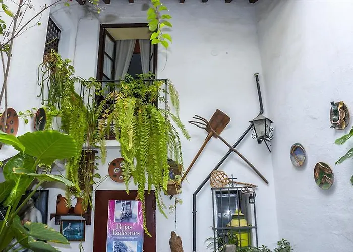 Arc House Only Adults Πανσιόν 2*